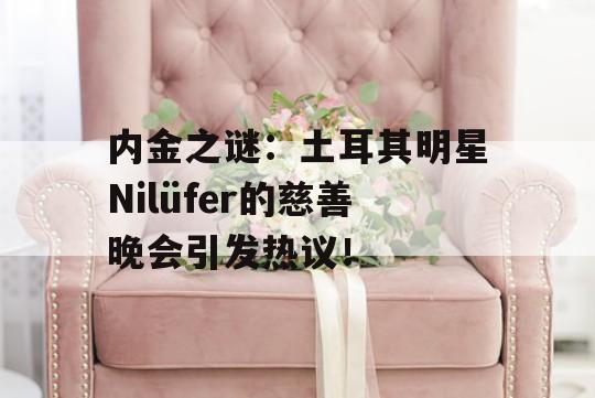 内金之谜：土耳其明星Nilüfer的慈善晚会引发热议！