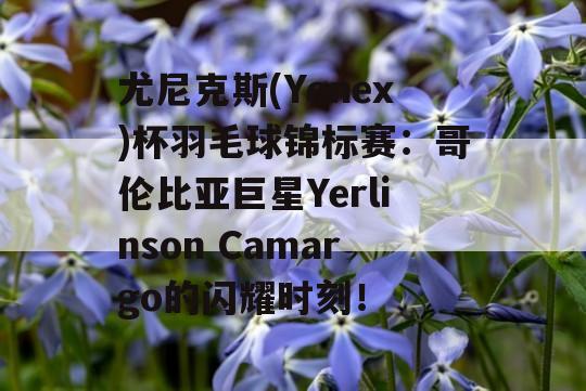 尤尼克斯(Yonex)杯羽毛球锦标赛：哥伦比亚巨星Yerlinson Camargo的闪耀时刻！