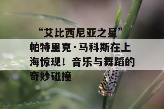  “艾比西尼亚之星”帕特里克·马科斯在上海惊现！音乐与舞蹈的奇妙碰撞